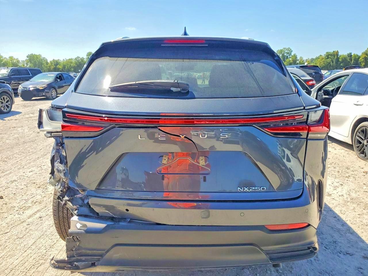 2024 Lexus Nx 250 Premium - Image 6