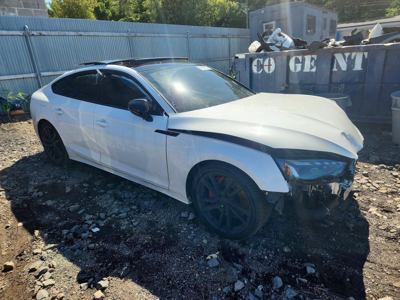 2024 Audi S5 Premium Plus - Фото 4