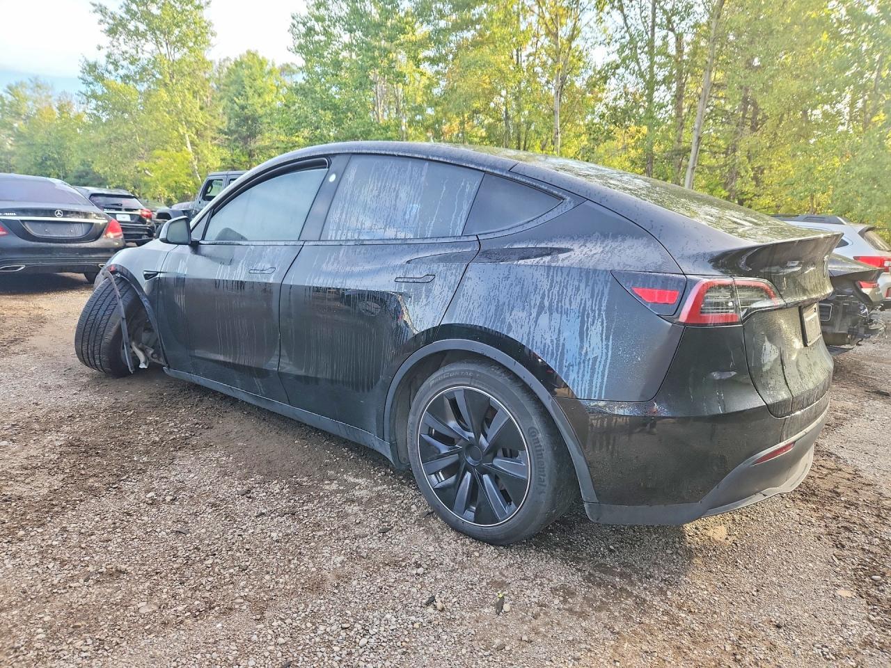 2024 Tesla Model Y - Фото 2