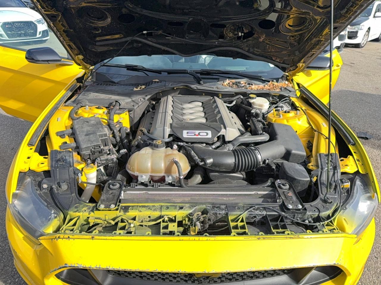 2015 Ford Mustang Gt - Фото 7