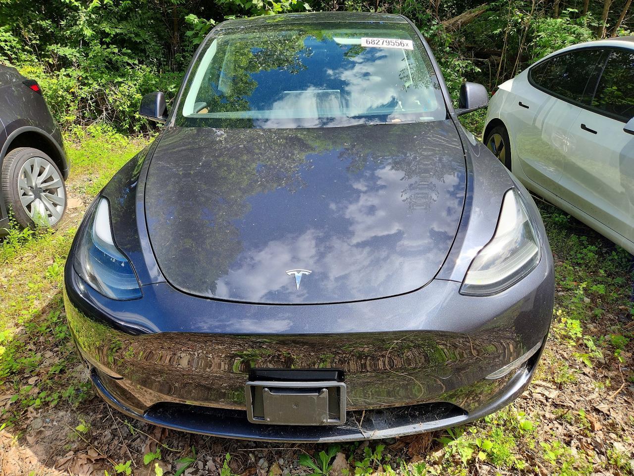 2024 Tesla Model Y - Image 5