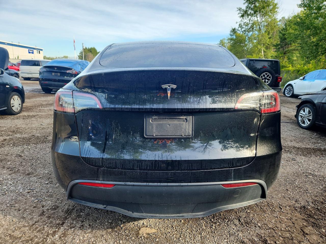 2024 Tesla Model Y - Фото 6