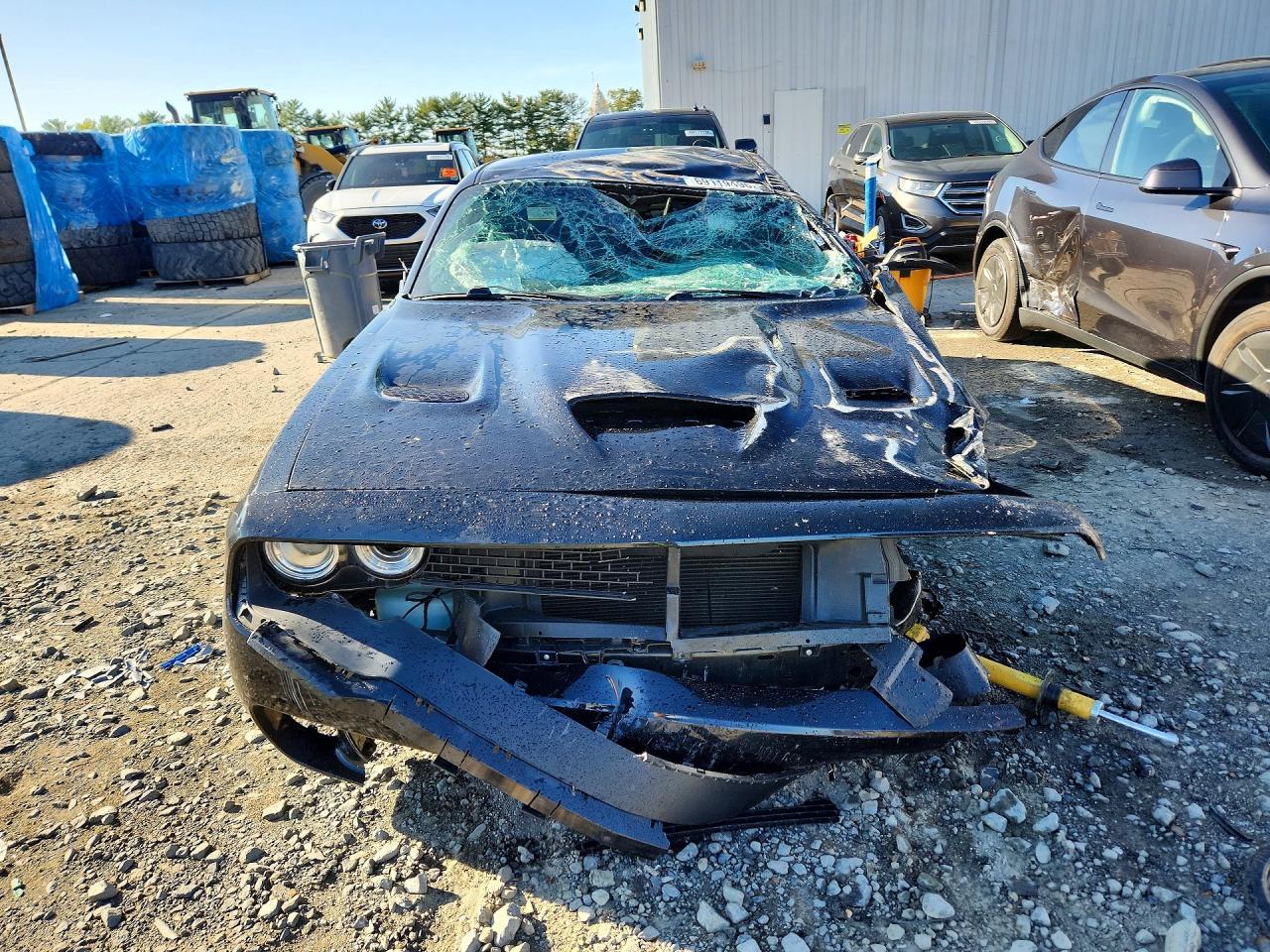 2019 Dodge Challenger R/T - Фото 5