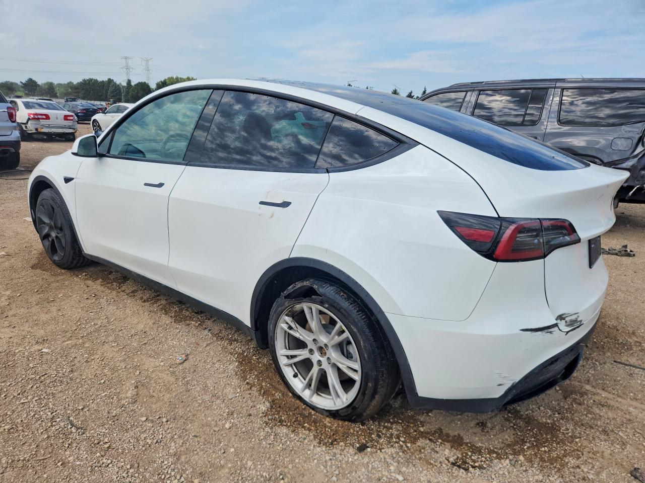 2023 Tesla Model Y - Фото 2