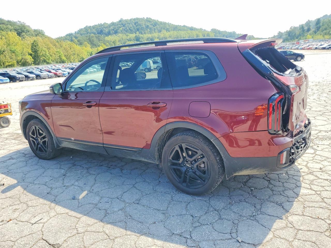 2024 Kia Telluride Ex X-Line - Фото 2