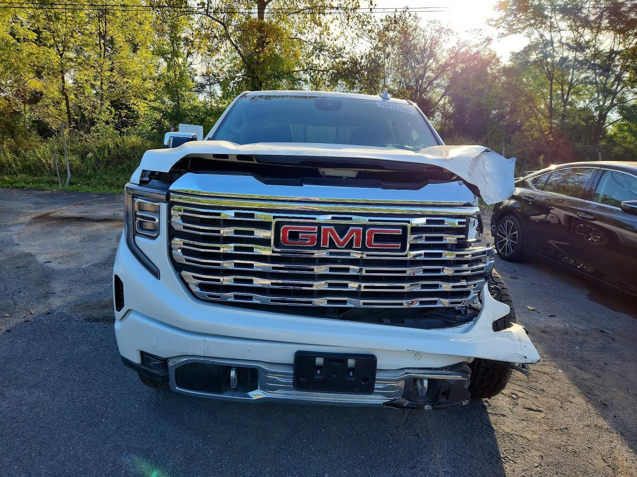2025 GMC Sierra K1500 Denali - Фото 5