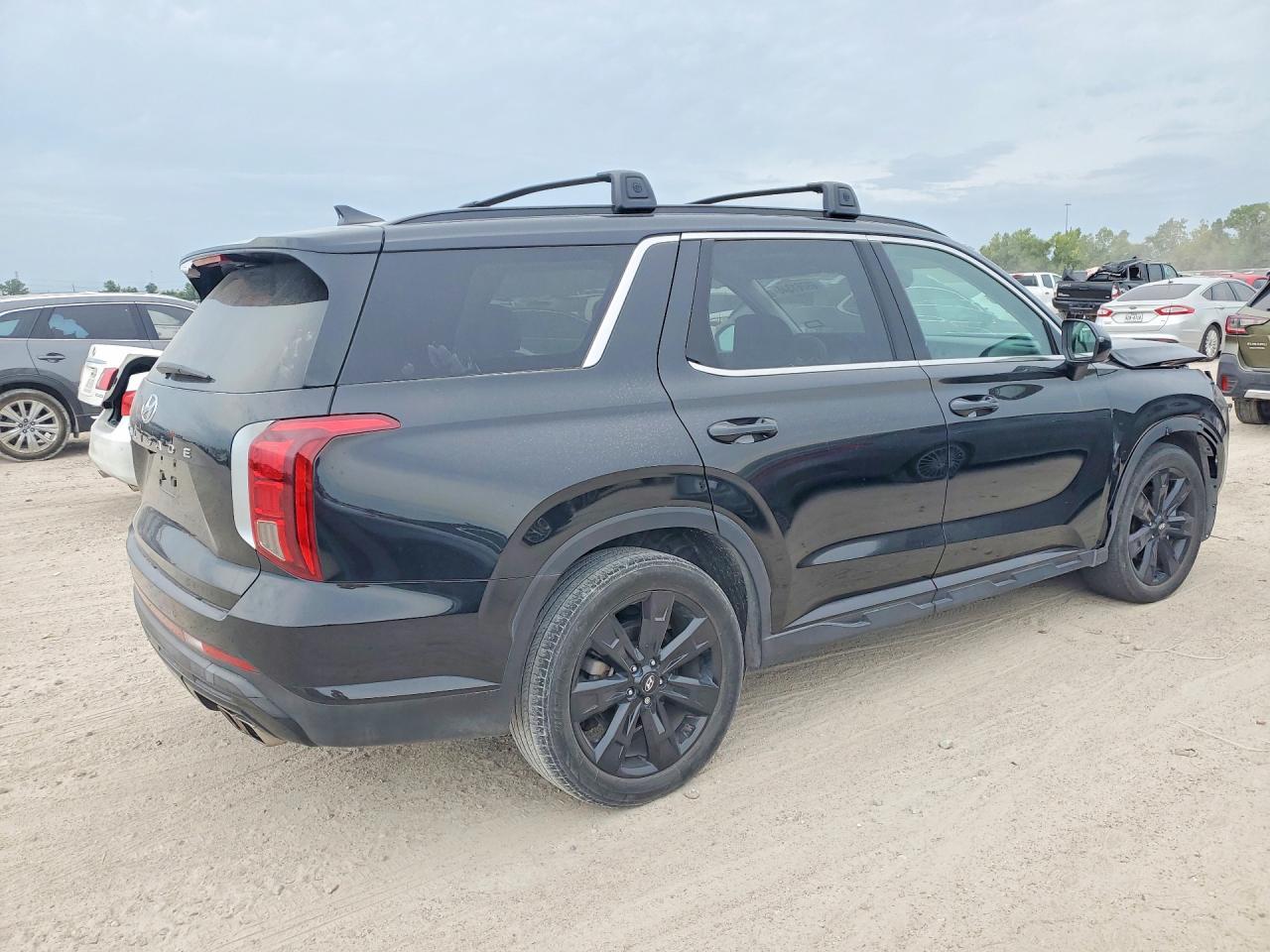 2024 Hyundai Palisade Xrt - Фото 3