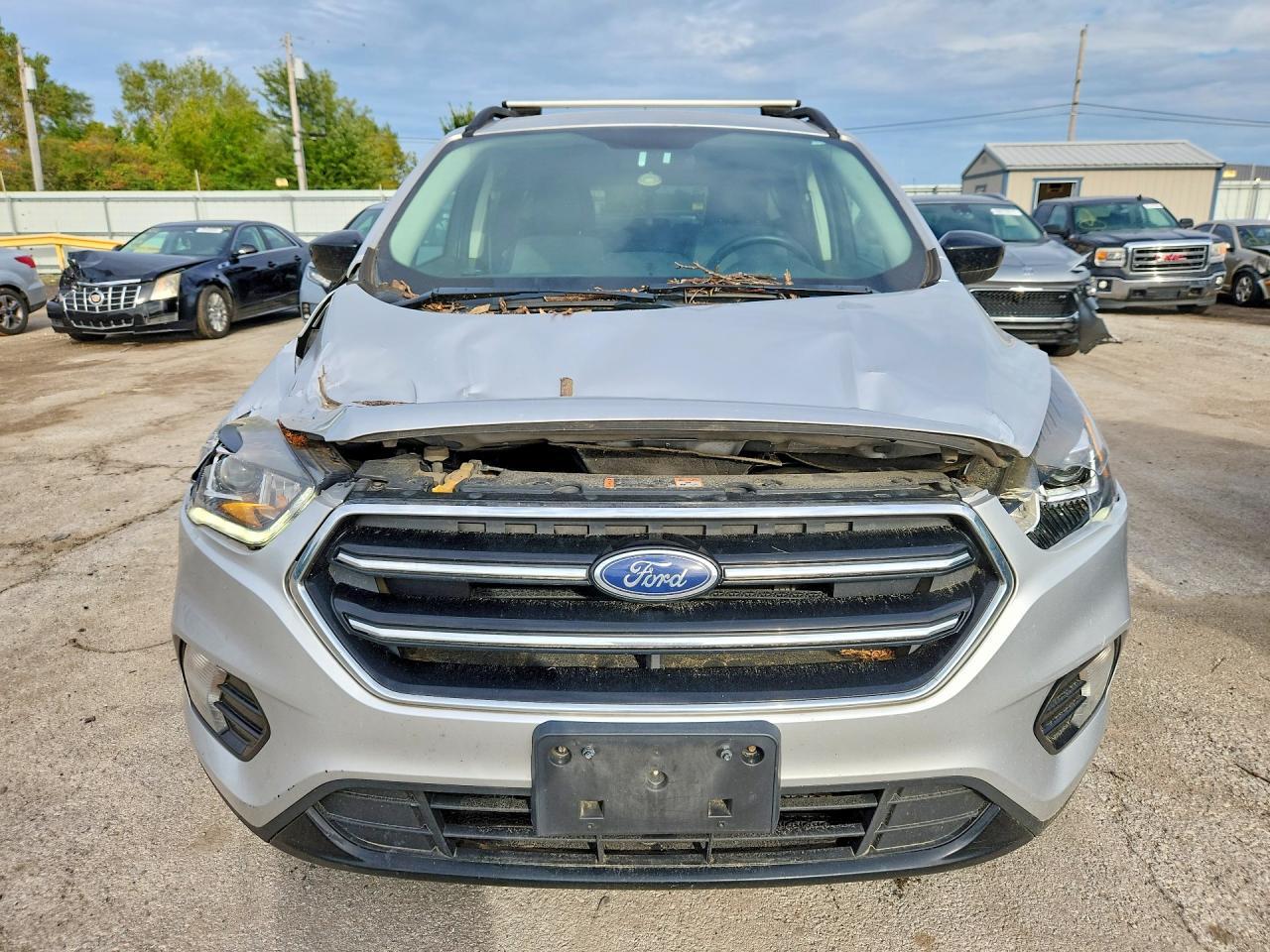2019 Ford Escape Se - Image 5