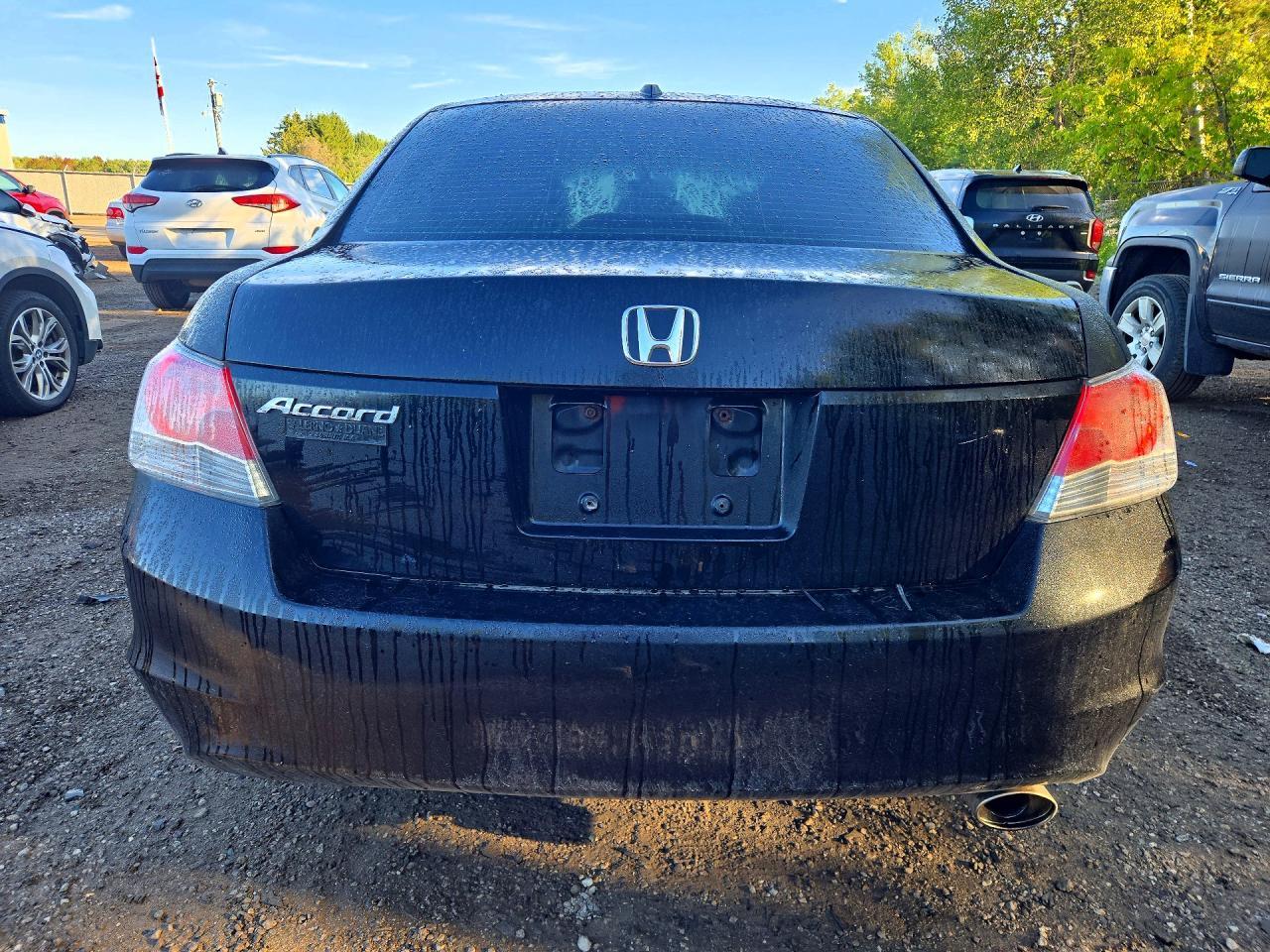 2010 Honda Accord Exl - Image 6