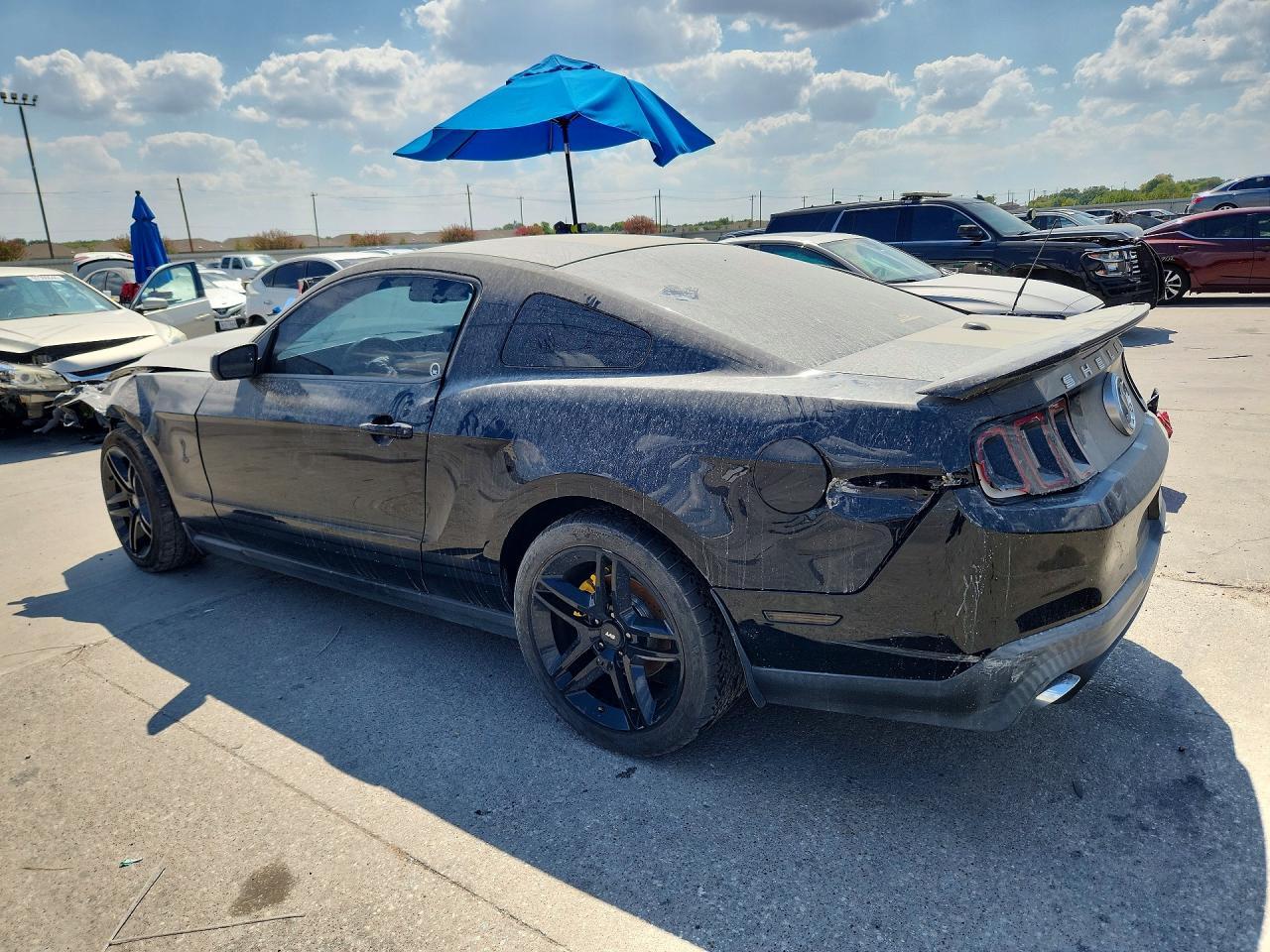 2010 Ford Mustang Shelby Gt500 - Фото 2