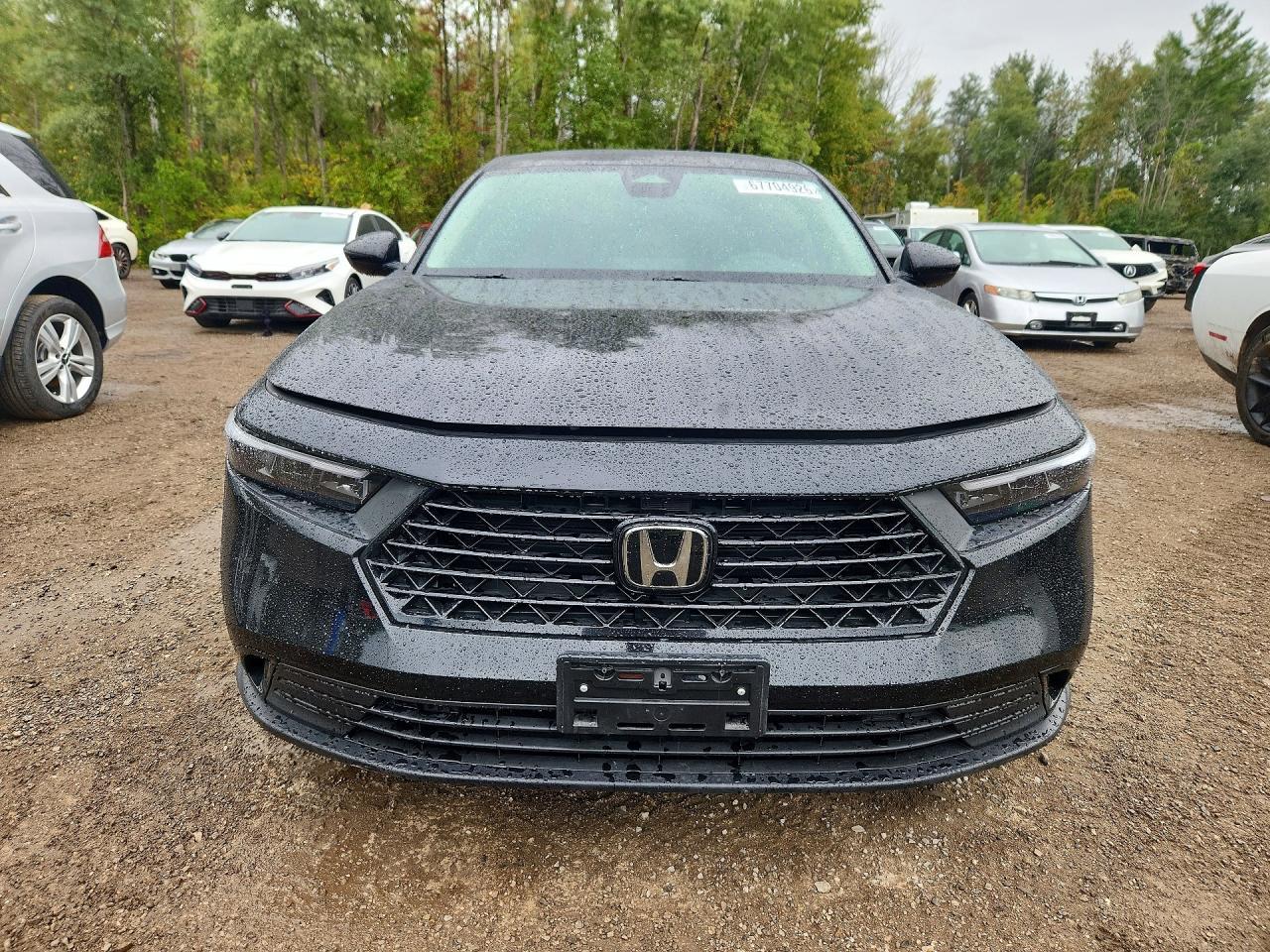 2024 Honda Accord Ex - Фото 5