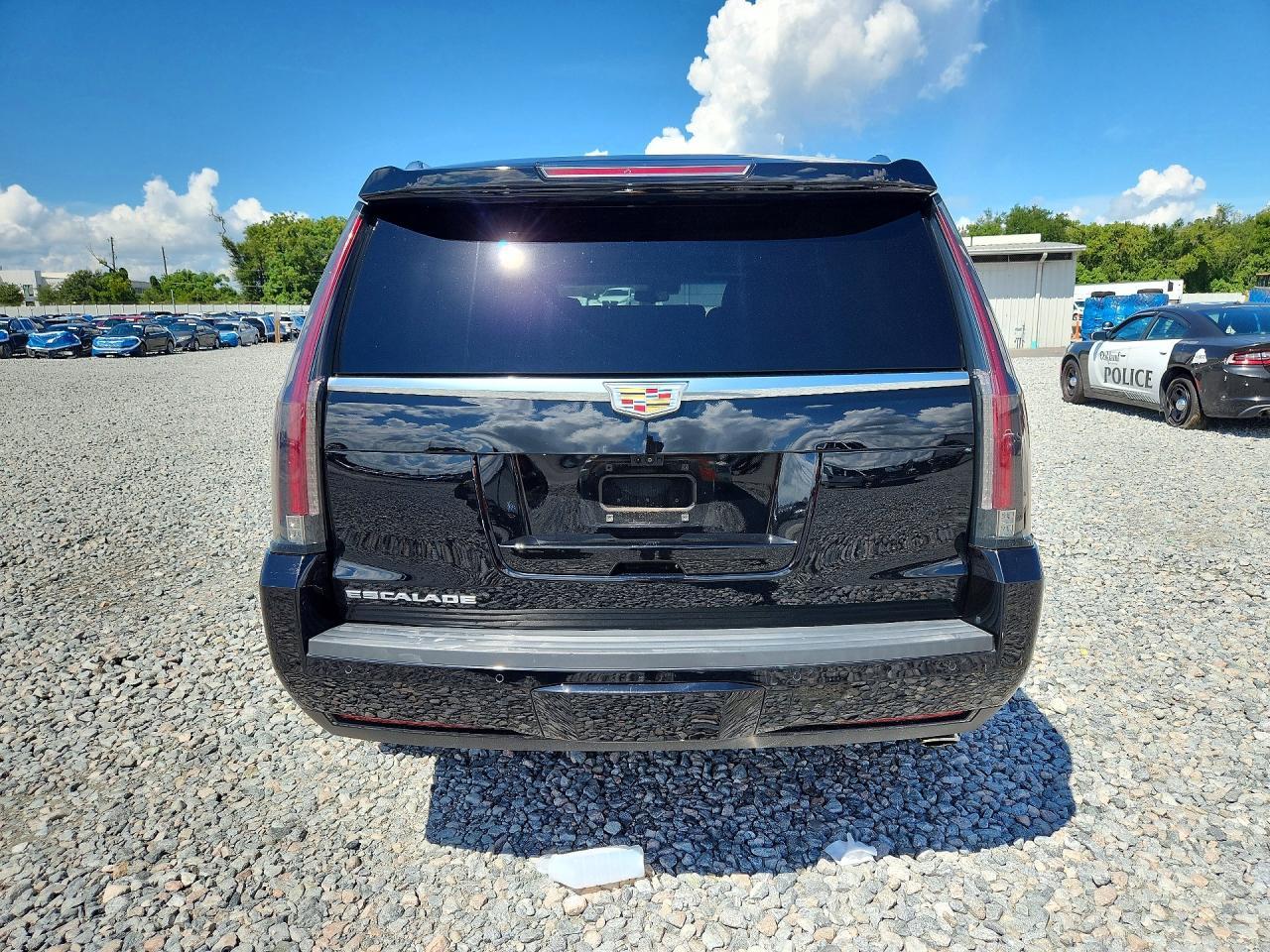 2020 Cadillac Escalade Platinum - Фото 6