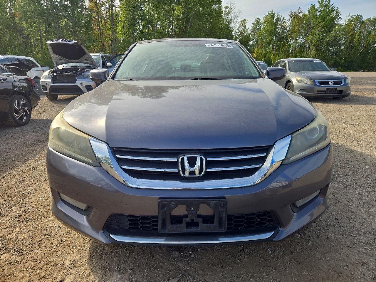 2015 Honda Accord Sport - Фото 5