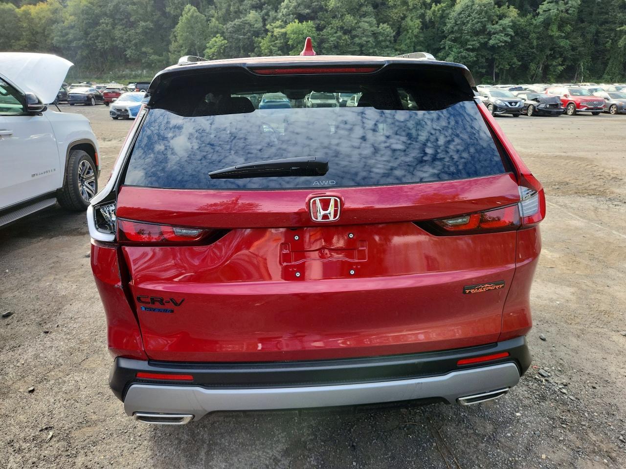 2026 Honda Cr-V Trailsport - Image 6