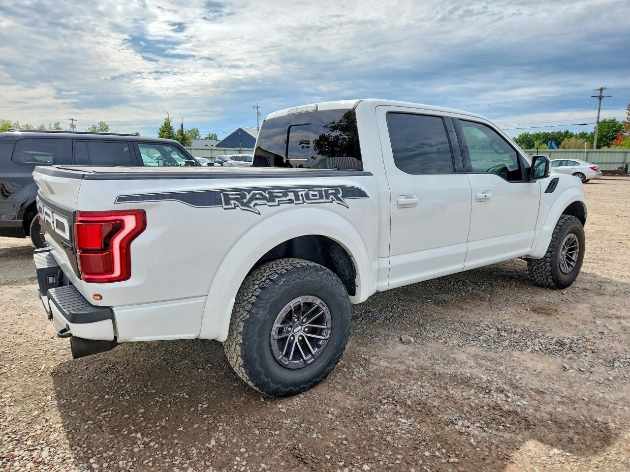 2019 Ford F150 Raptor - Фото 3
