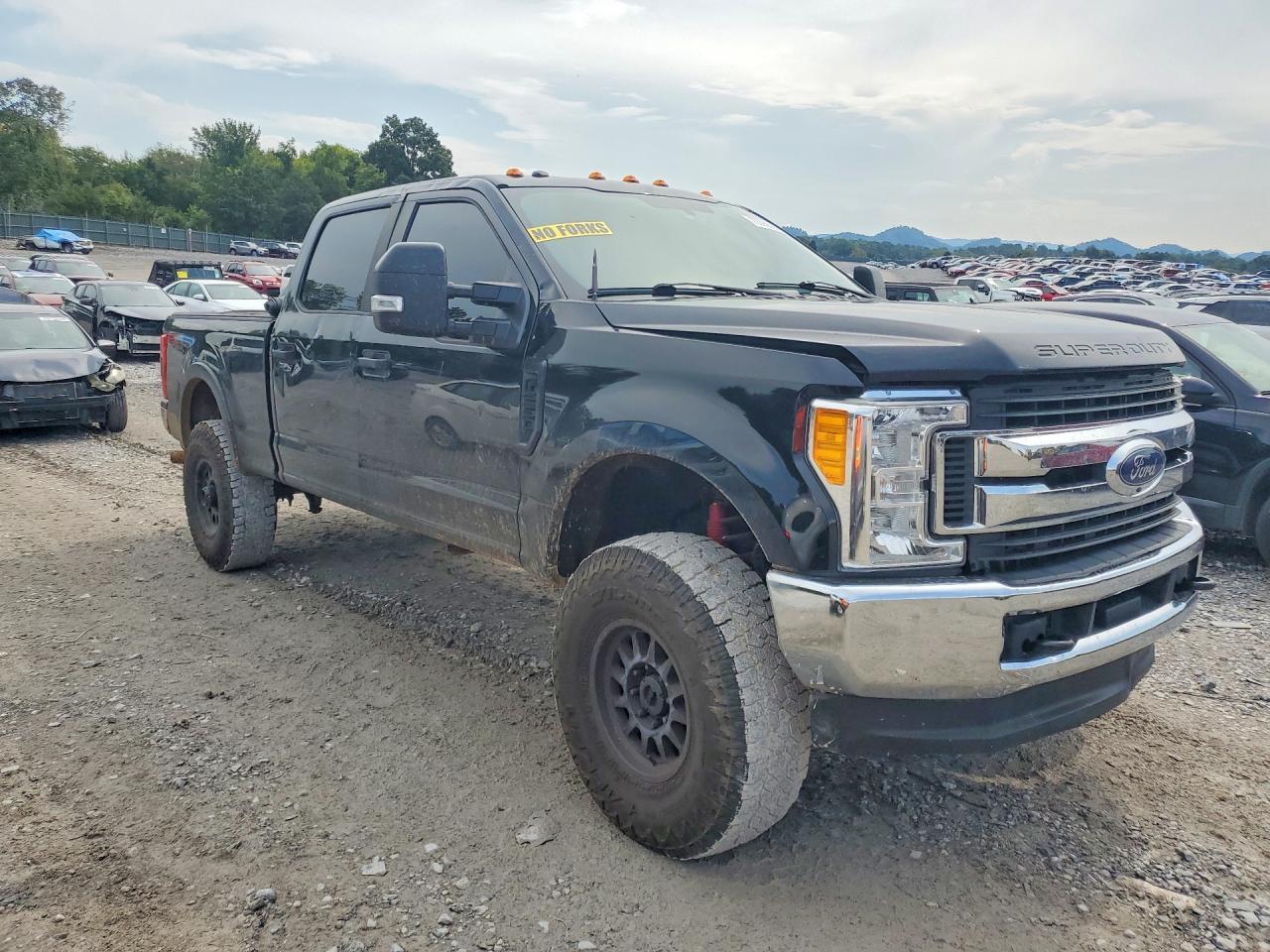 2017 Ford F250 Super Duty - Image 4