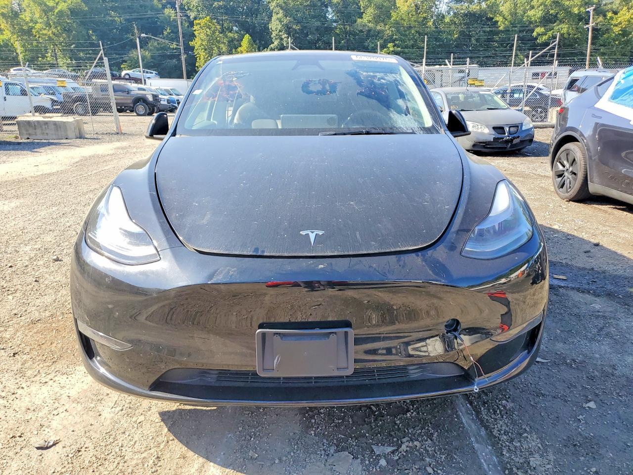 2025 Tesla Model Y - Фото 5