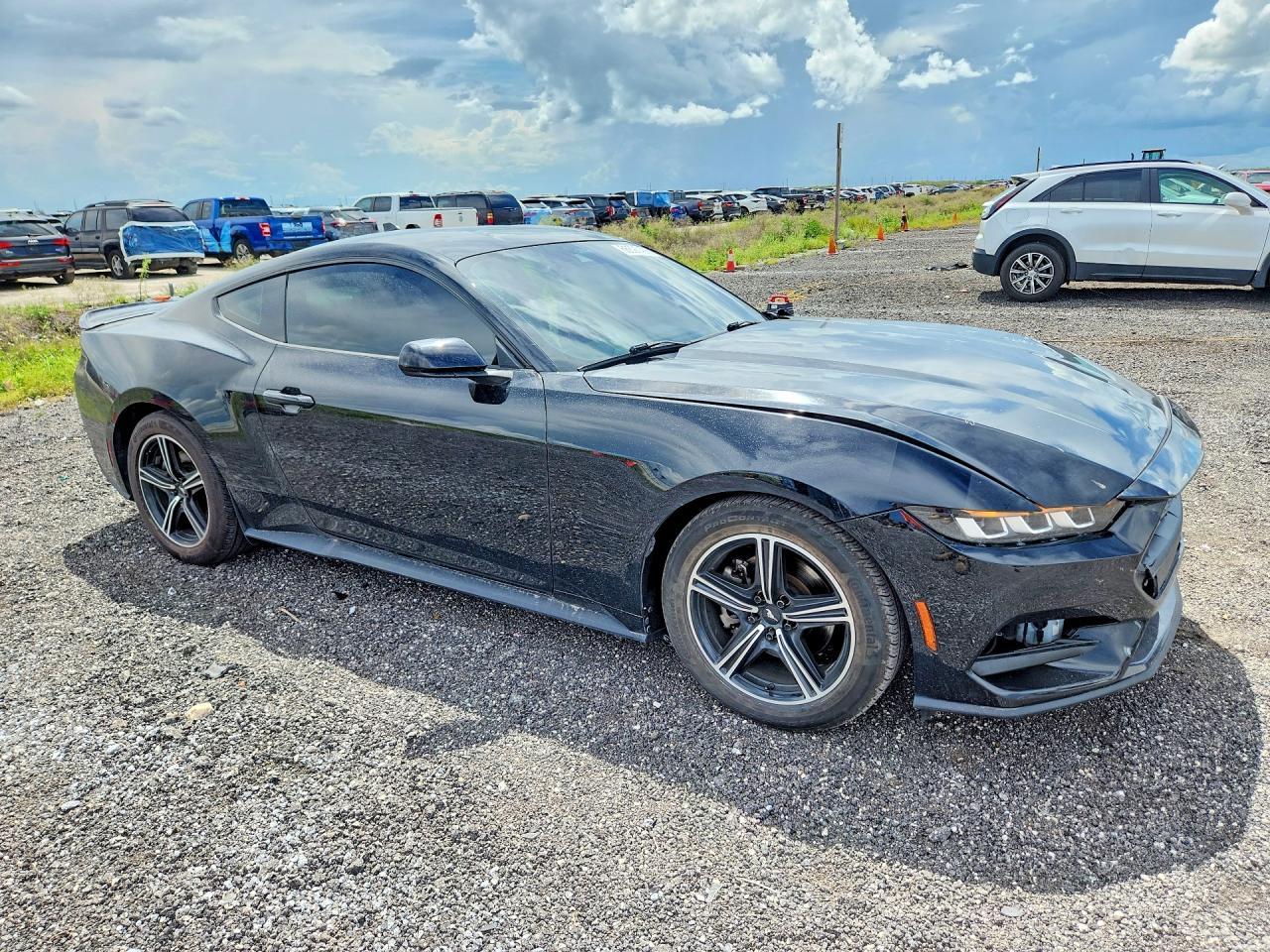 2024 Ford Mustang - Фото 4