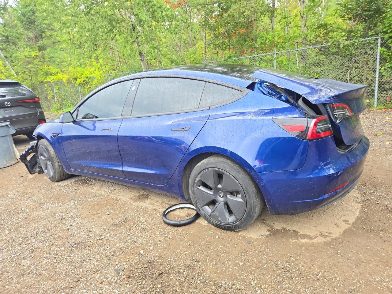 2022 Tesla Model 3 - Фото 2