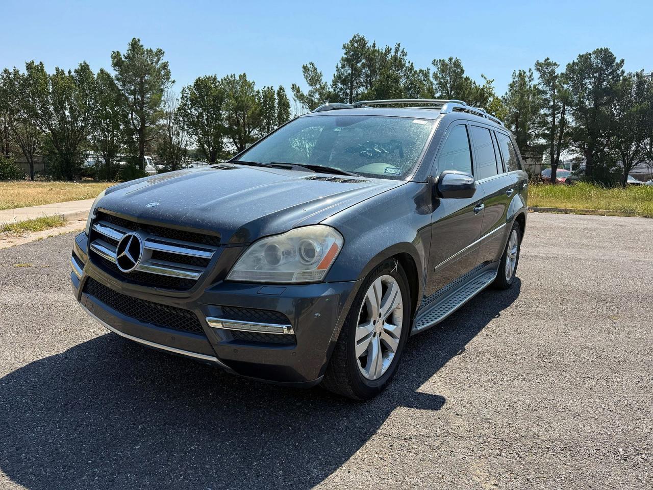 2010 Mercedes-Benz Gl 450 4Matic - Фото 2