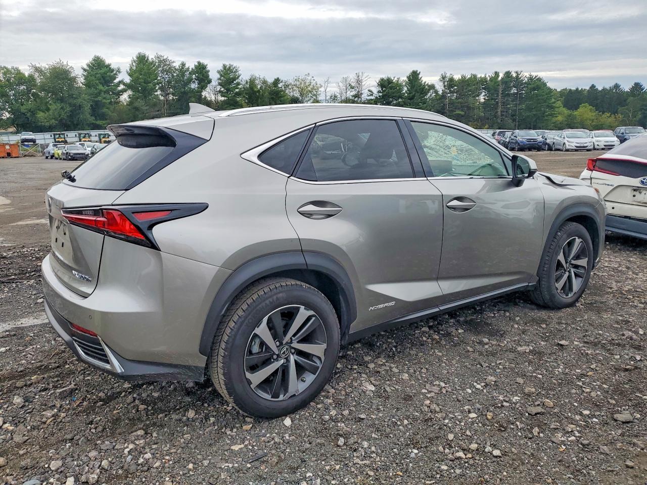 2020 Lexus Nx 300H - Image 3