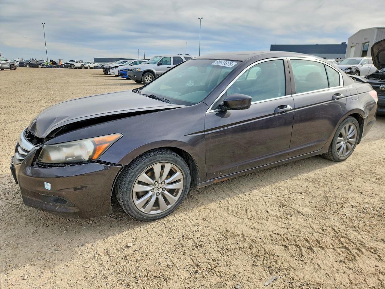 2011 Honda Accord Exl - Фото 2