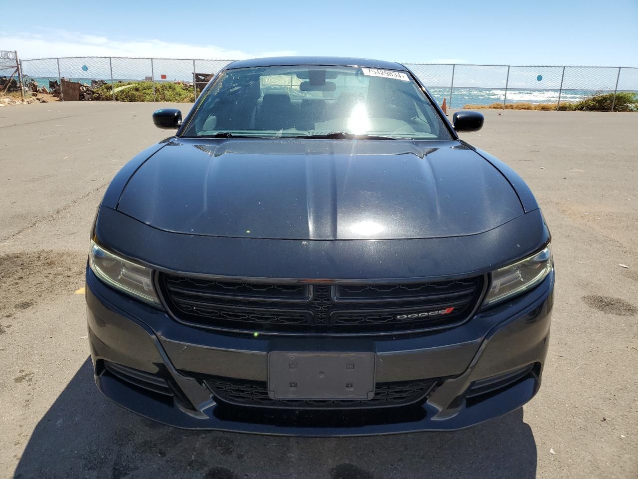 2019 Dodge Charger Sxt - Фото 5