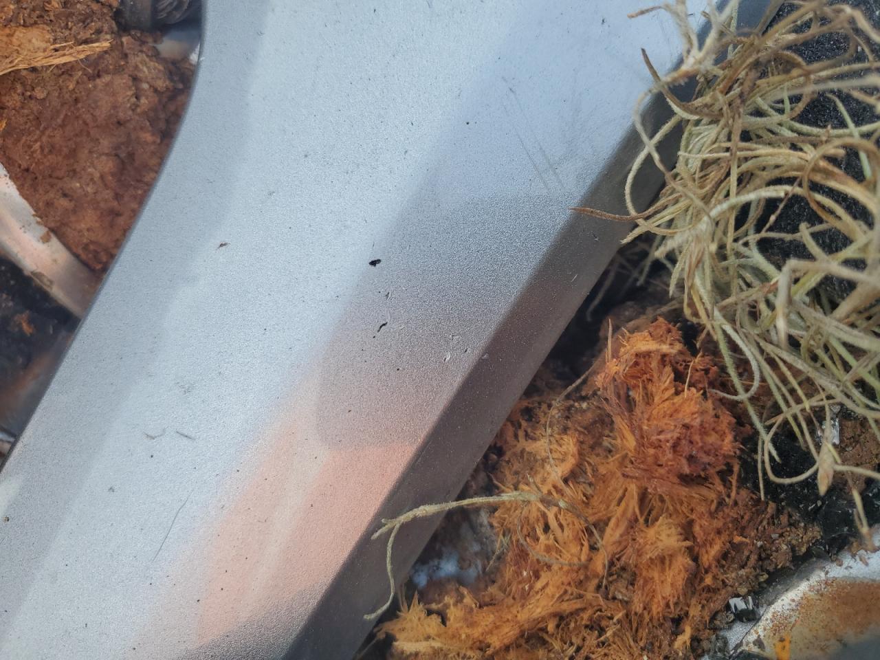 2017 Jeep Grand Cherokee Laredo - Image 4