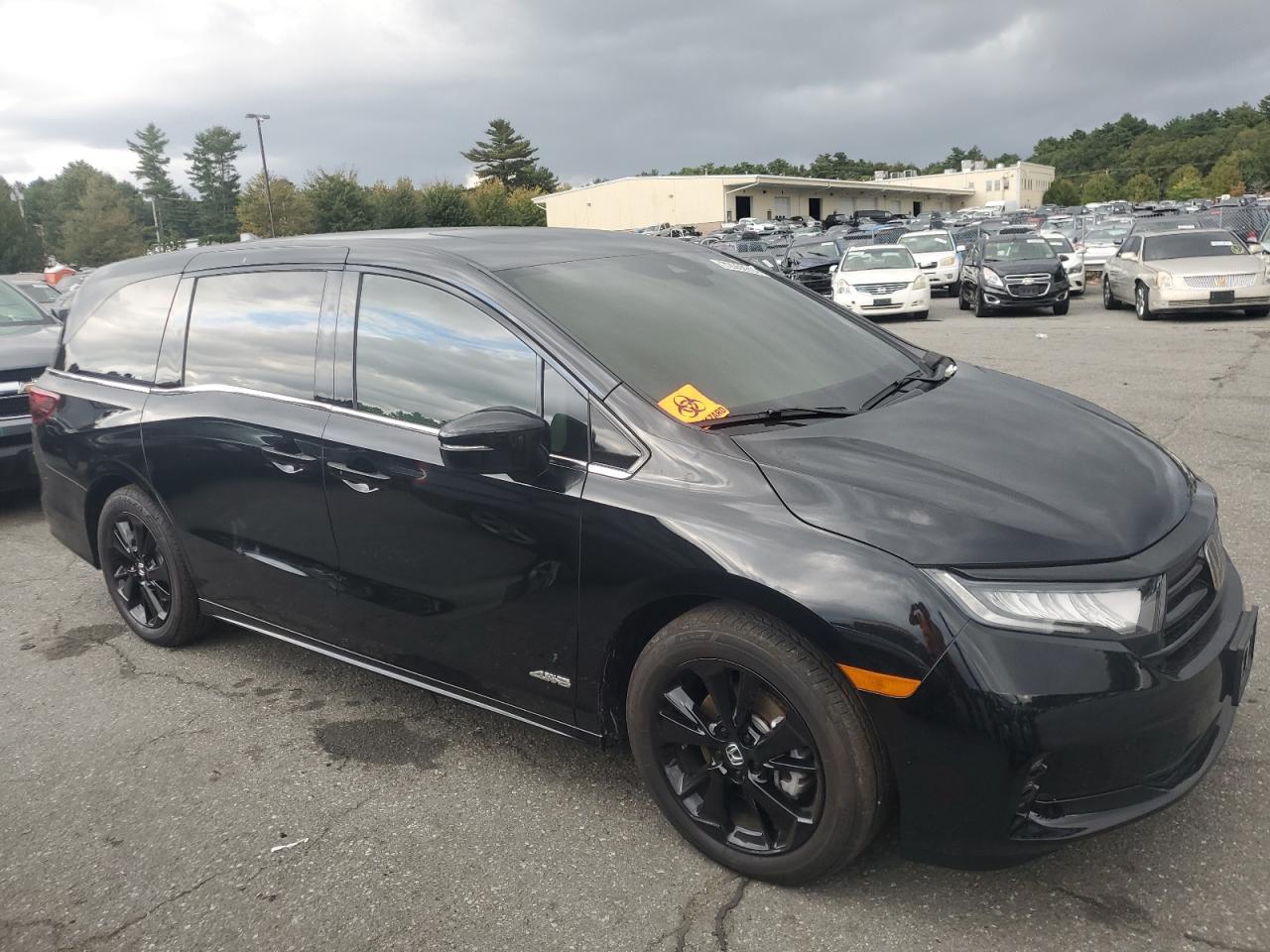 2024 Honda Odyssey Sport - Фото 4