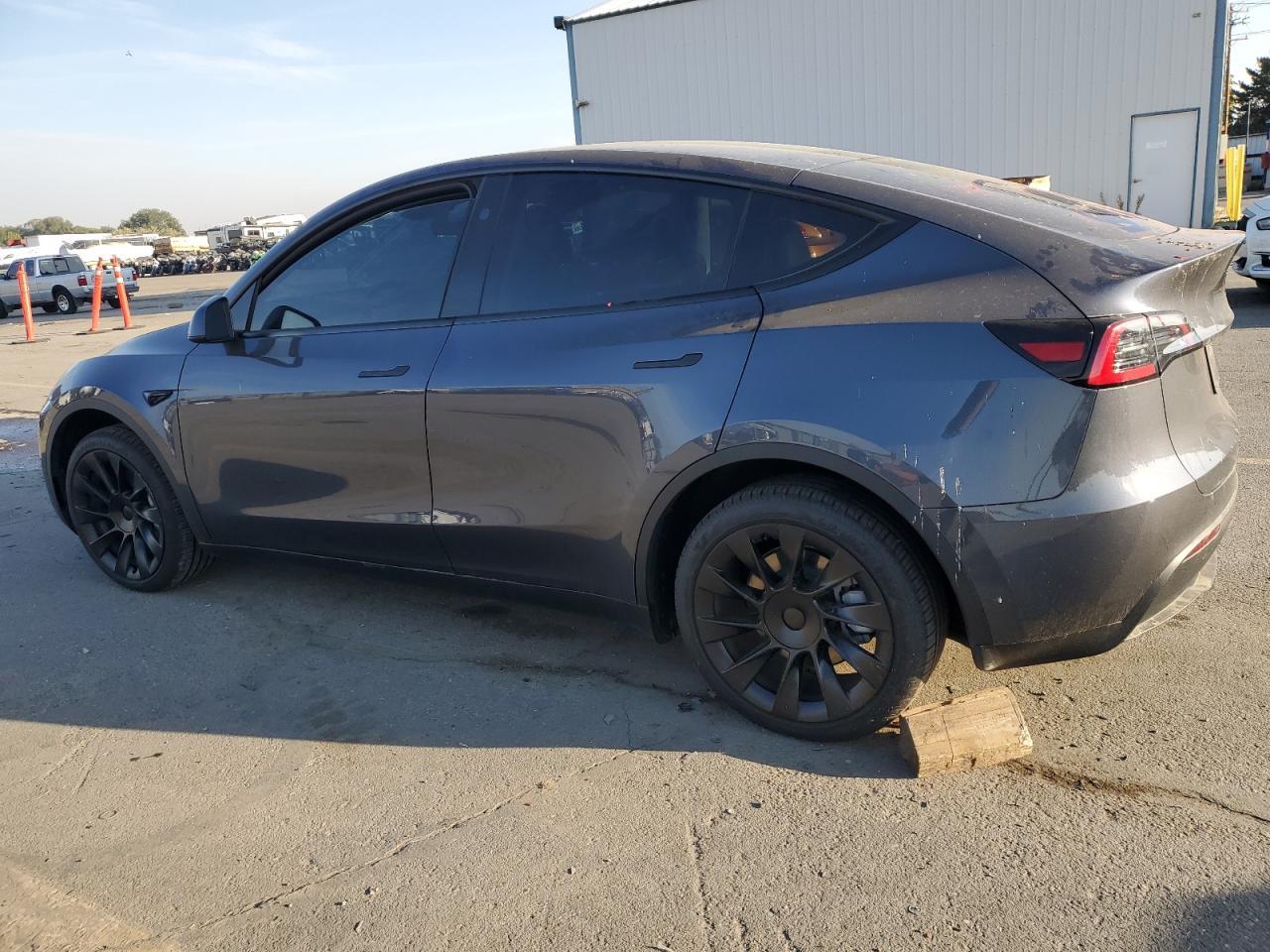 2023 Tesla Model Y - Фото 2