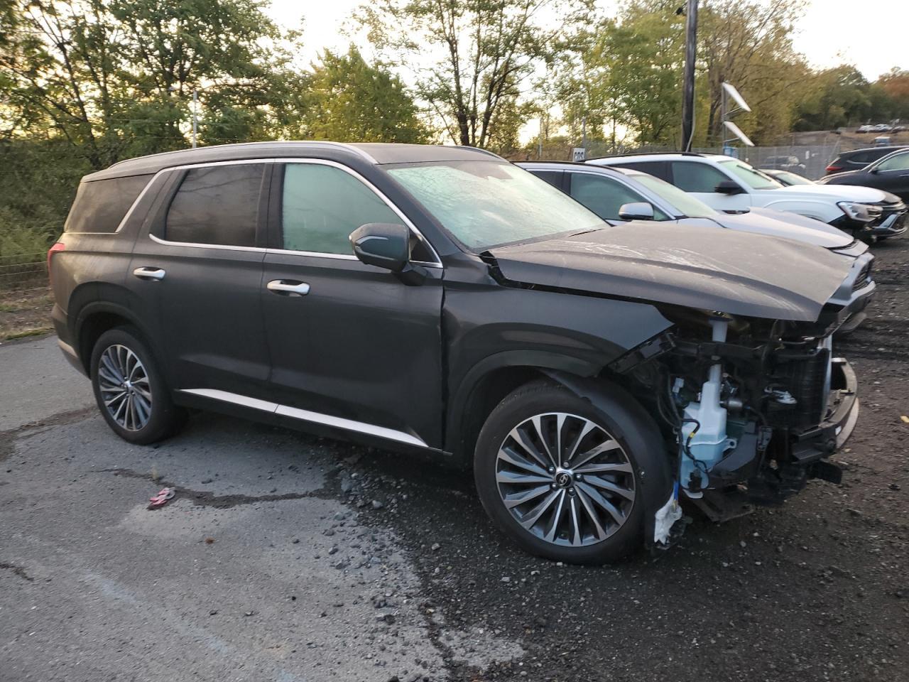 2025 Hyundai Palisade Calligraphy - Image 4