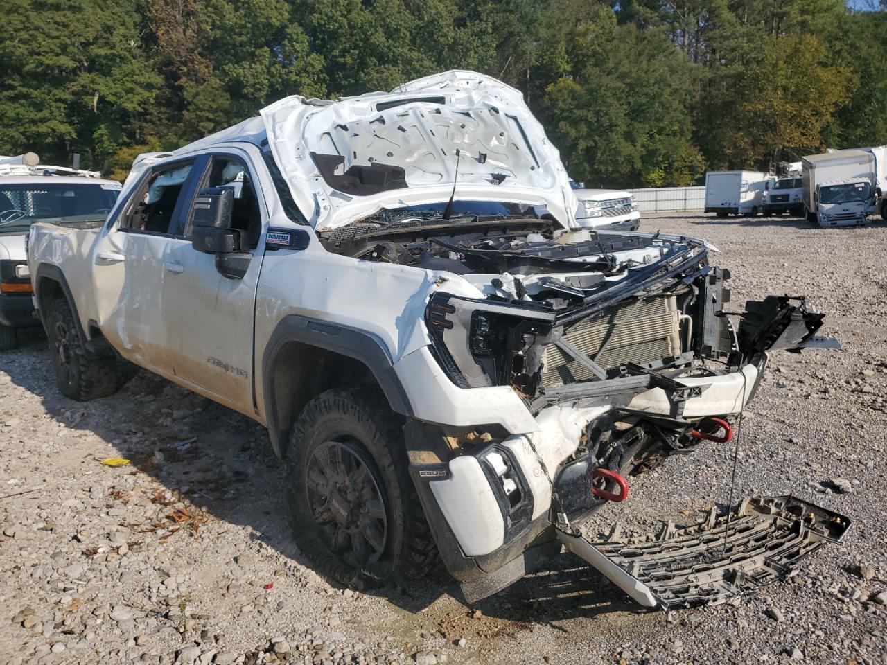 2024 GMC Sierra K2500 At4 - Фото 4