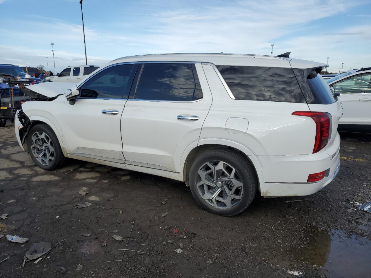 2021 Hyundai Palisade Limited - Фото 2