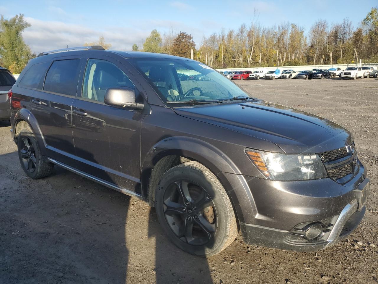 2018 Dodge Journey Crossroad - Фото 4