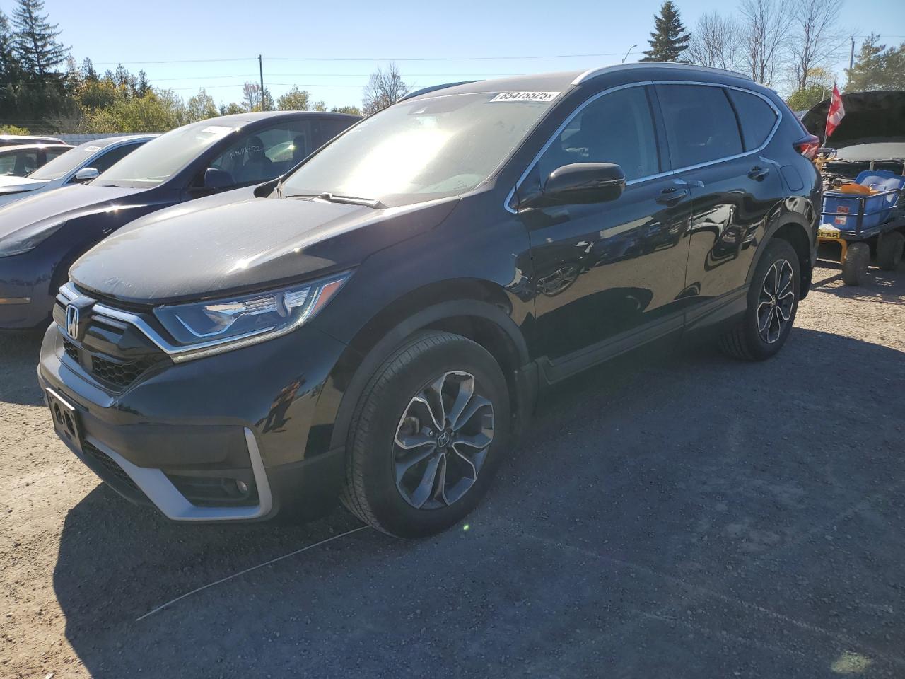 2021 Honda Cr-V Exl