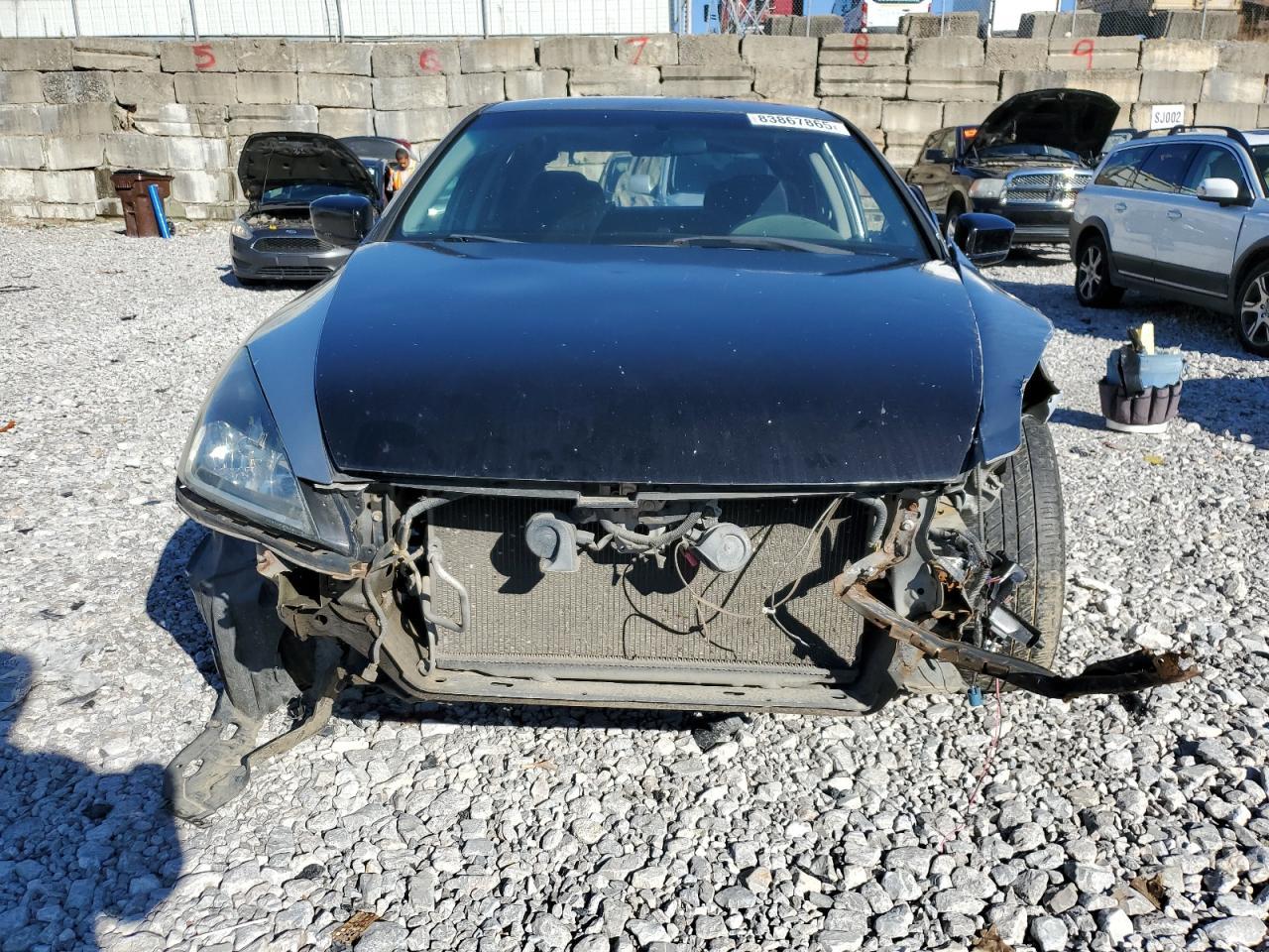 2003 Honda Accord Lx - Фото 5