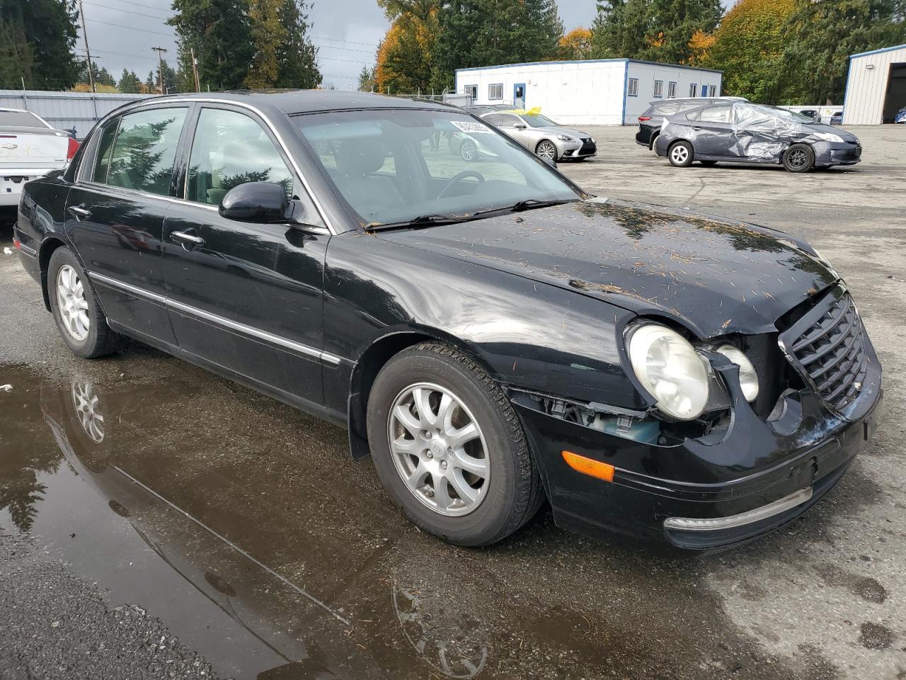 2009 Kia Amanti - Фото 4