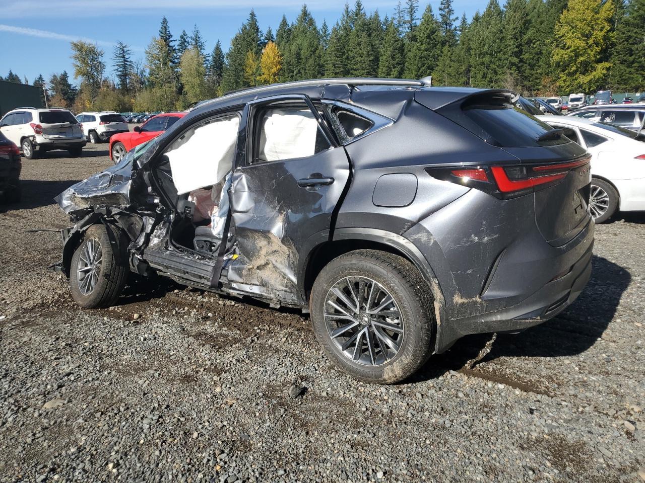 2025 Lexus Nx 350H Base - Image 2