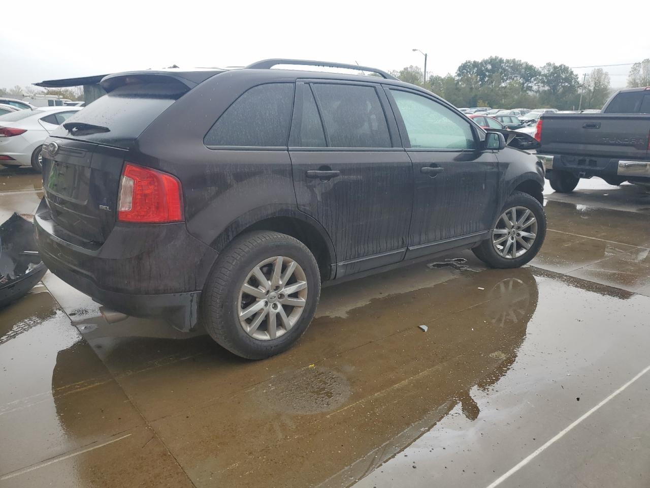 2013 Ford Edge Sel - Фото 3