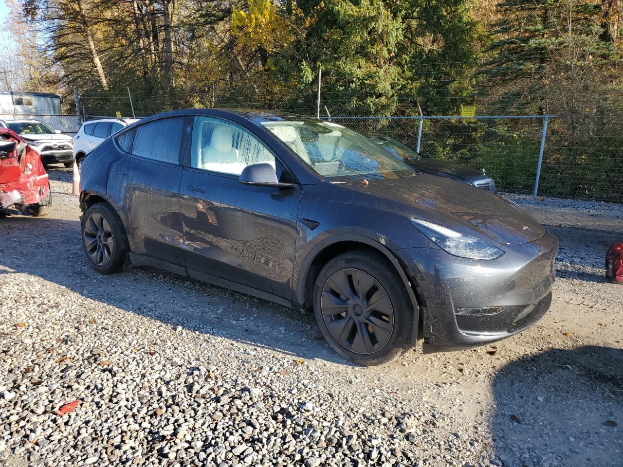2024 Tesla Model Y - Фото 4