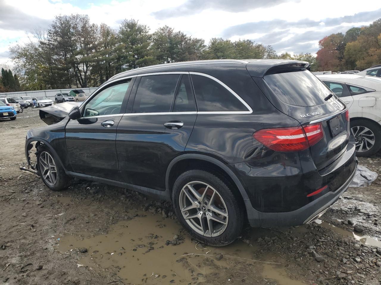 2019 Mercedes-Benz Glc 300 4Matic - Фото 2