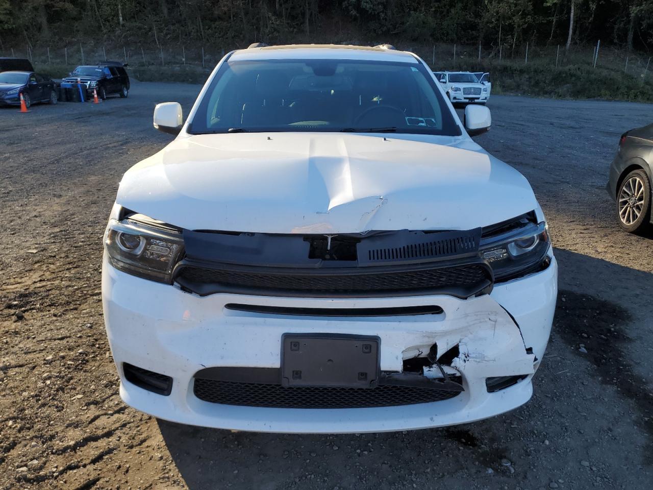 2020 Dodge Durango Gt - Фото 5