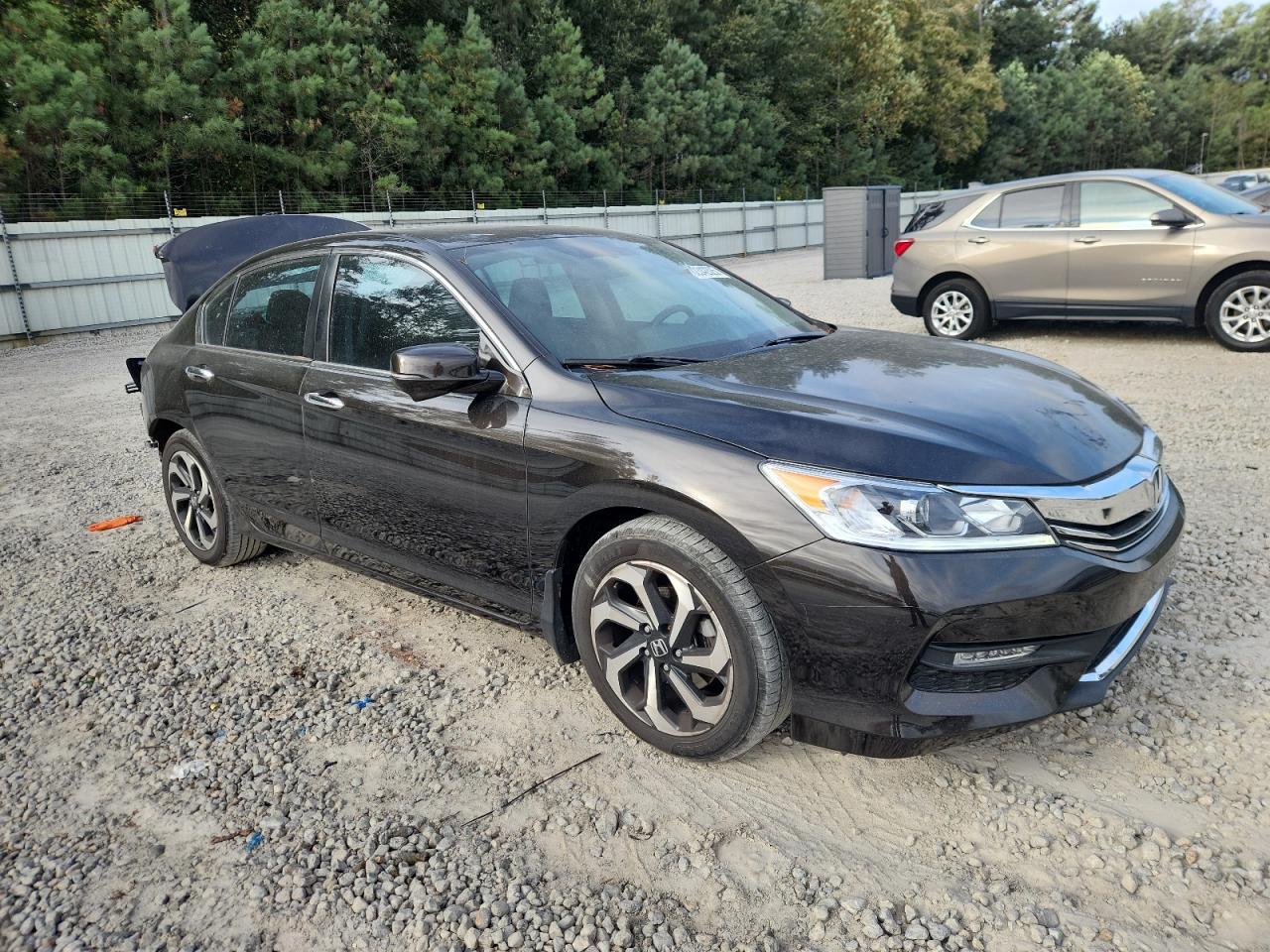 2016 Honda Accord Exl - Фото 4