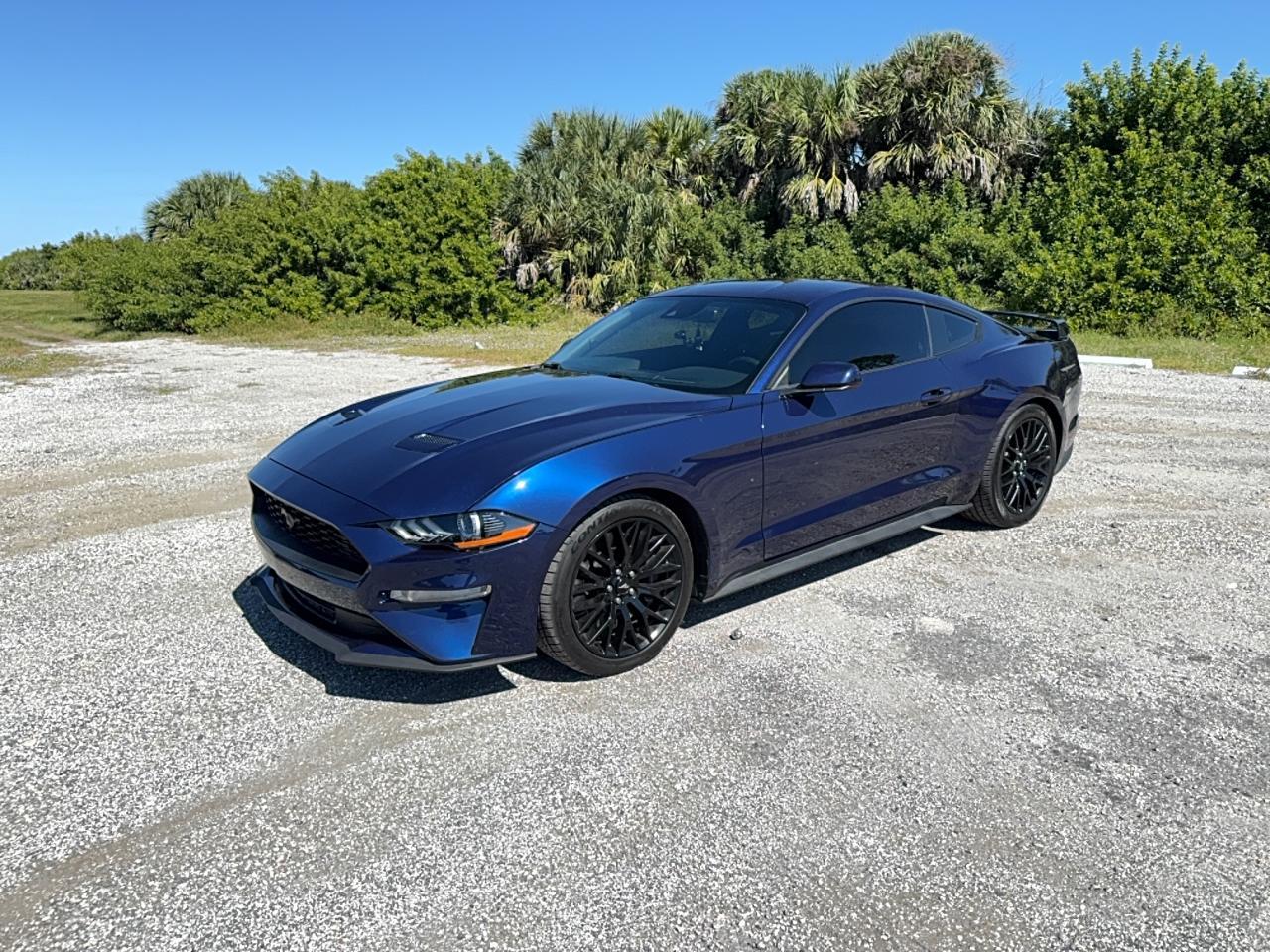 2019 Ford Mustang Gt - Image 2