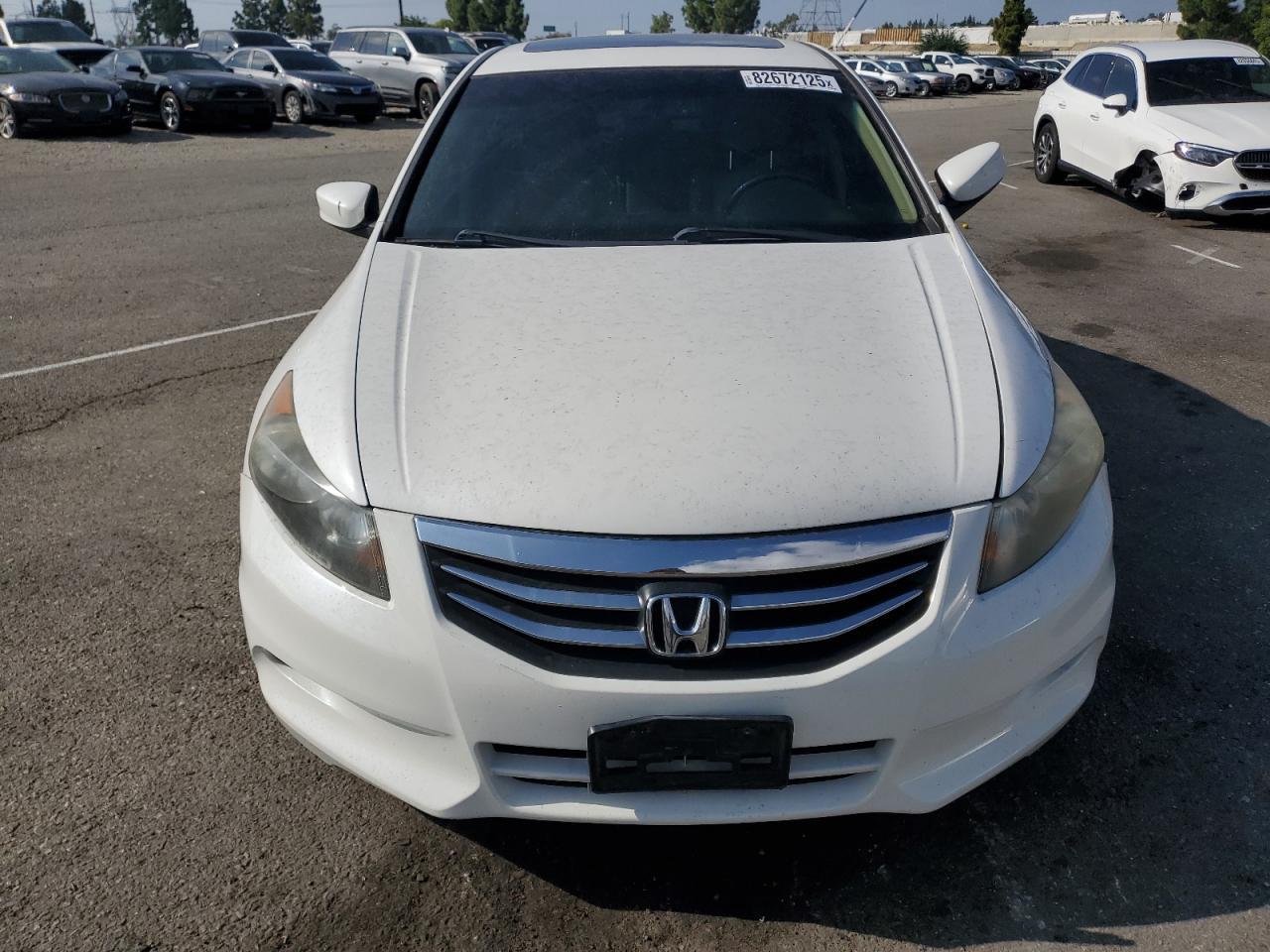 2012 Honda Accord Exl - Image 5