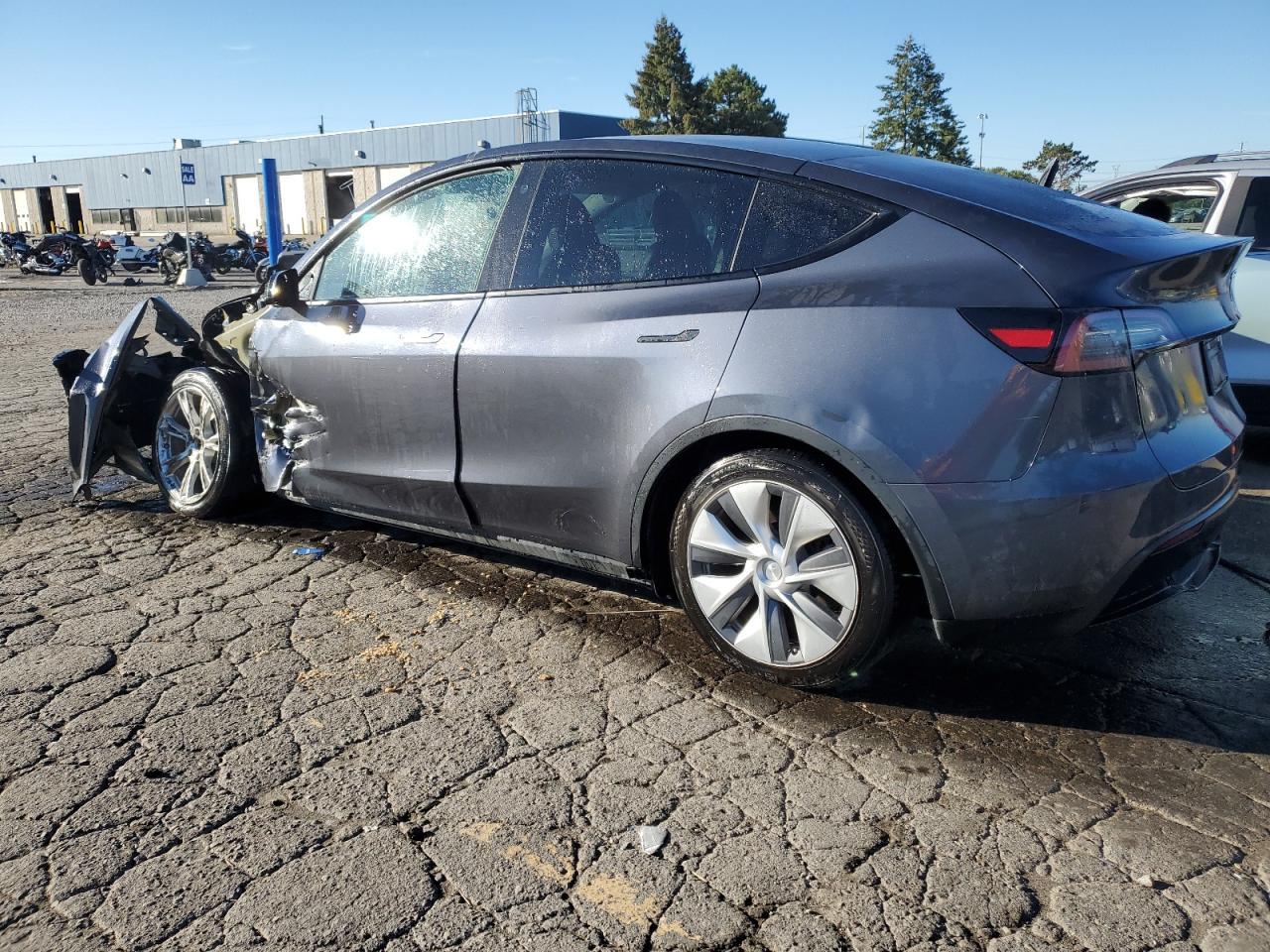 2023 Tesla Model Y - Фото 2