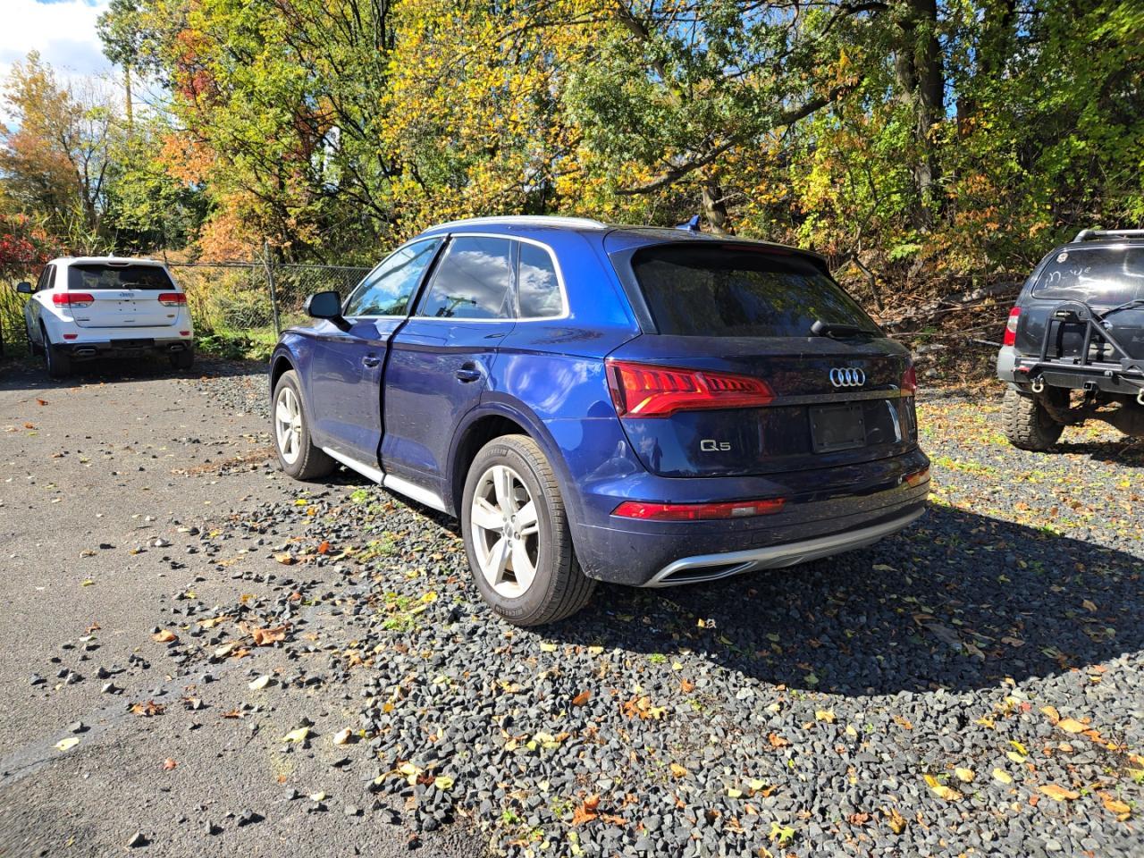 2019 Audi Q5 Premium Plus - Фото 3