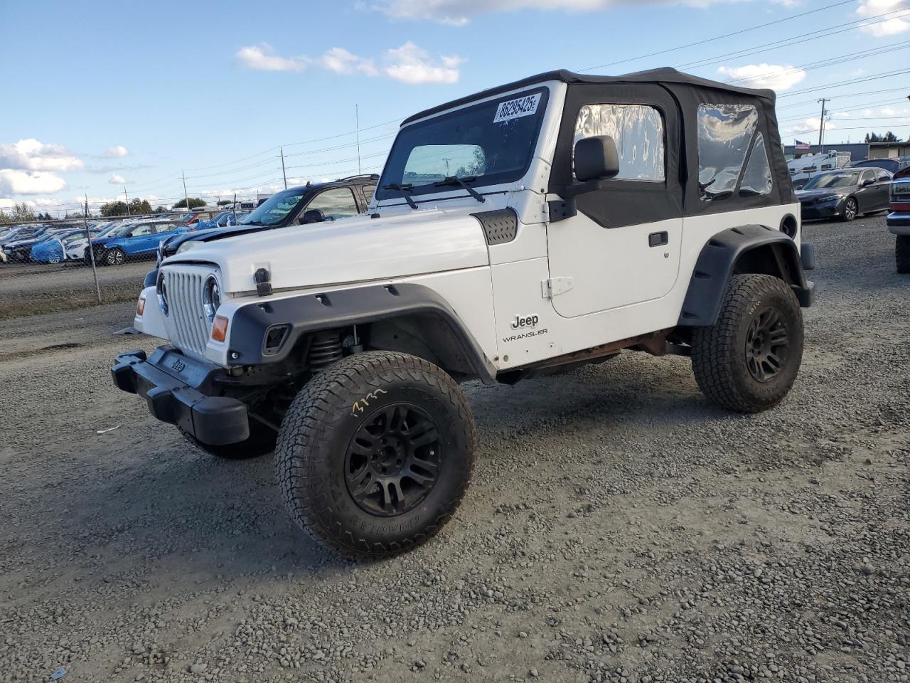 2003 Jeep Wrangler / Tj Se