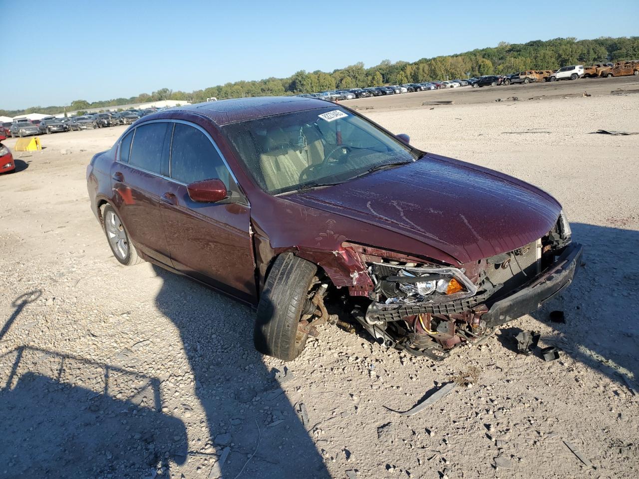 2009 Honda Accord Exl - Фото 4