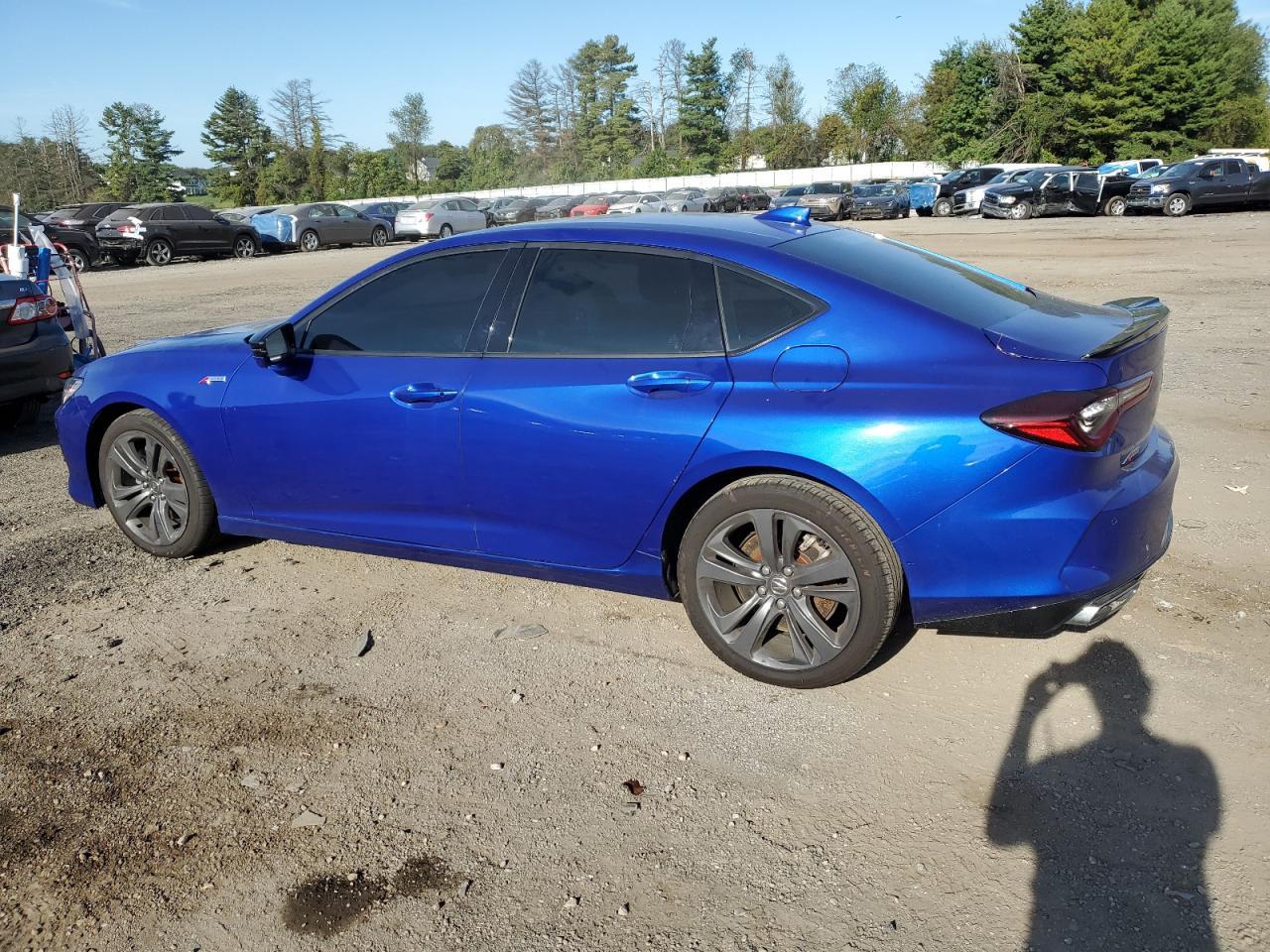 2023 Acura Tlx A-Spec - Фото 2